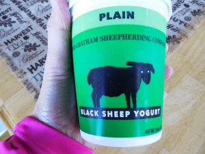 black-sheep-yogurt
