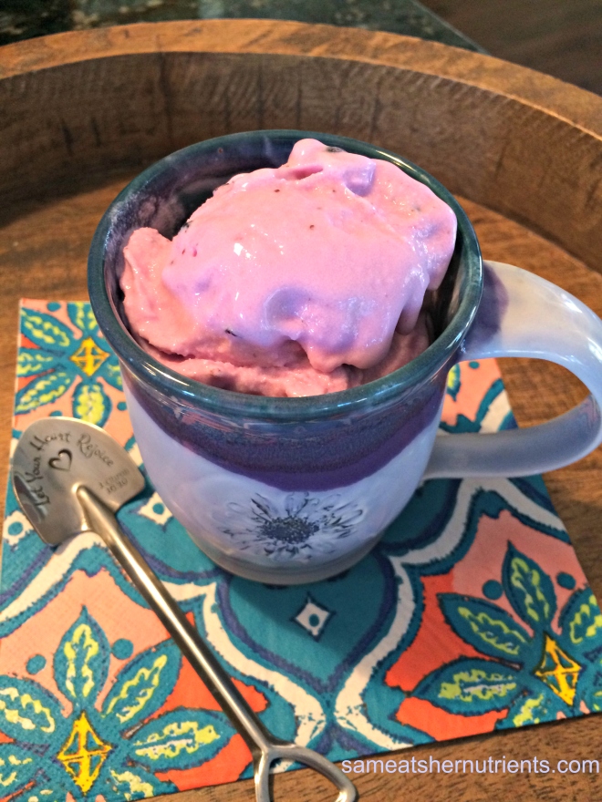blueberry-frozen-yogurt-paleo-friendly