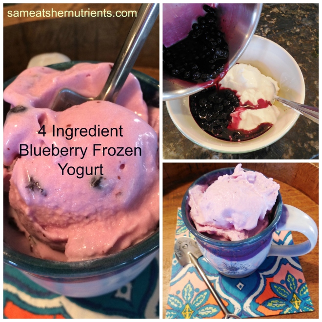 blueberry-frozen-yogurt-recipe-honey-sweetened-sheeps-milk-yogurt